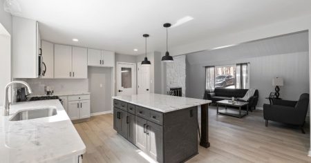 painter in Mawson Lakes SA